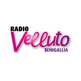 Radio Velluto radio