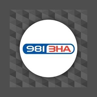 981 3HA