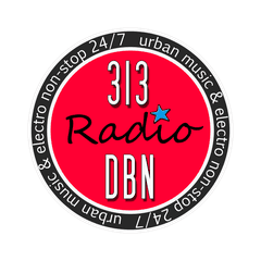 313 DBN Radio