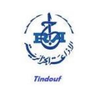 Radio Tindouf